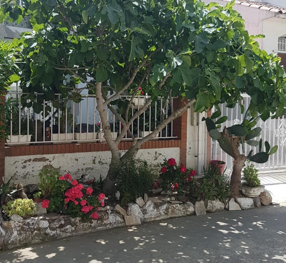 Maison De Vacances A Empuriabrava "Oasis" Villa Luaran gambar